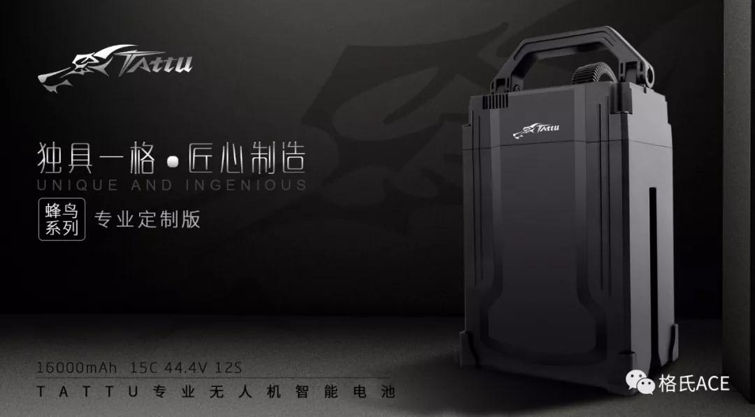 格氏峰鸟电池